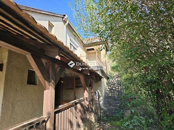 Róka, Pécs 2. képe