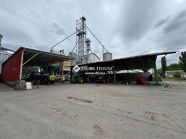 Petőfi Sándor, Szentkirály képe