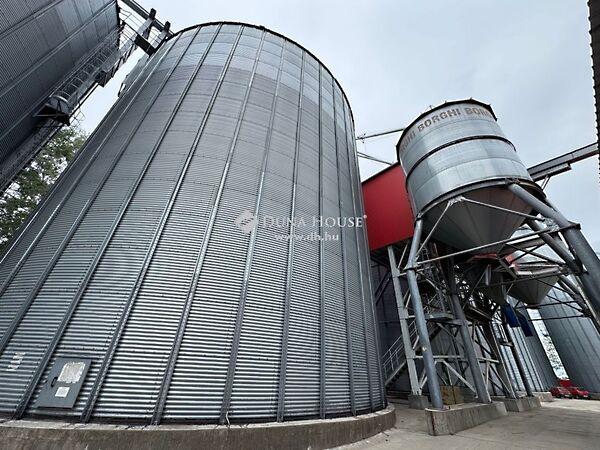 Petőfi Sándor, Szentkirály 2. képe