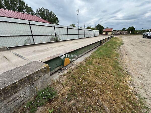 Petőfi Sándor, Szentkirály 3. képe