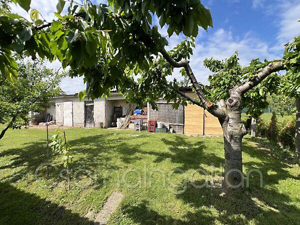 Fertőrákos 3. képe