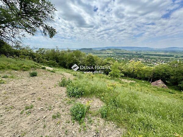 Badacsonytördemic 2. képe