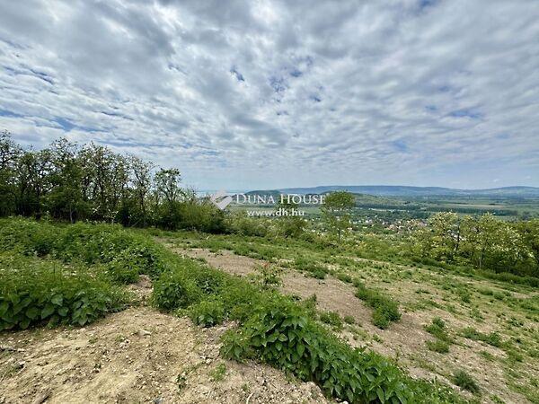 Badacsonytördemic 3. képe