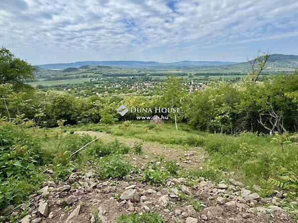 Badacsonytördemic 3. képe