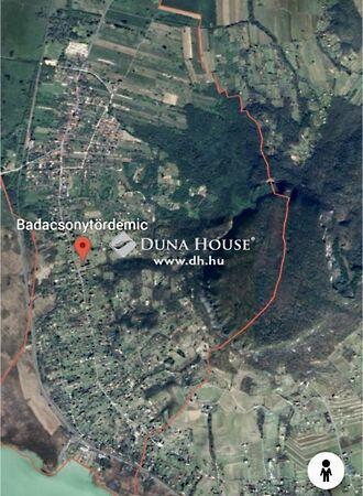 Badacsonytördemic képe