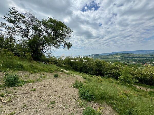 Badacsonytördemic 2. képe