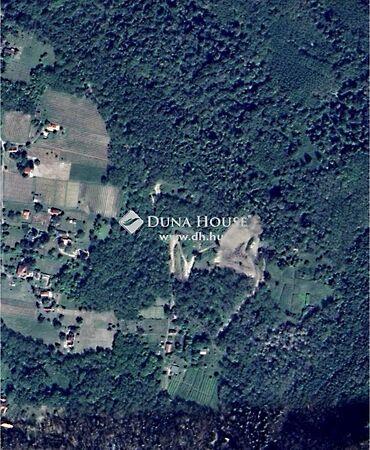 Badacsonytördemic képe