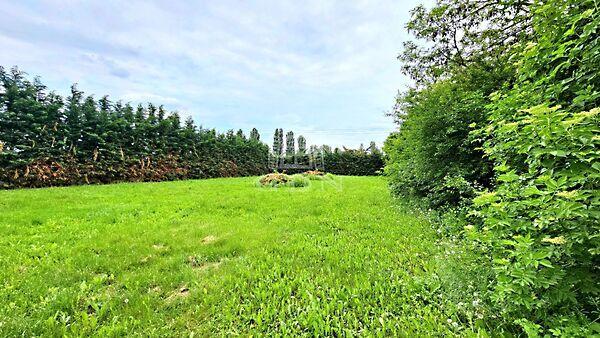 ÉRD-TÁRNOK, Érd képe