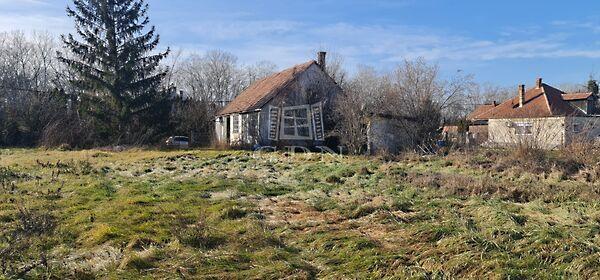 Zöldfa, Szigetbecse képe