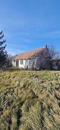 Zöldfa, Szigetbecse 3. képe