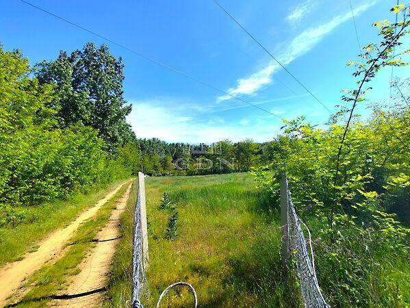 Kecskés, Gödöllő képe