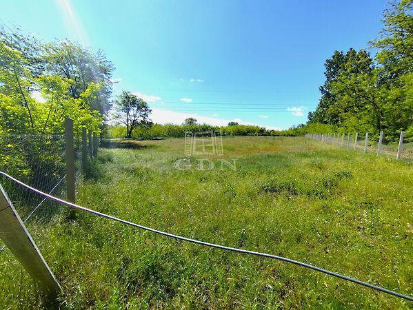 Kecskés, Gödöllő 3. képe