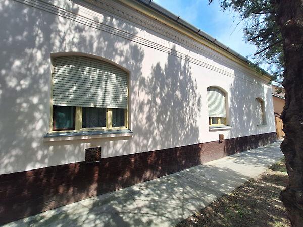 Petőfi Sándor, Földeák képe