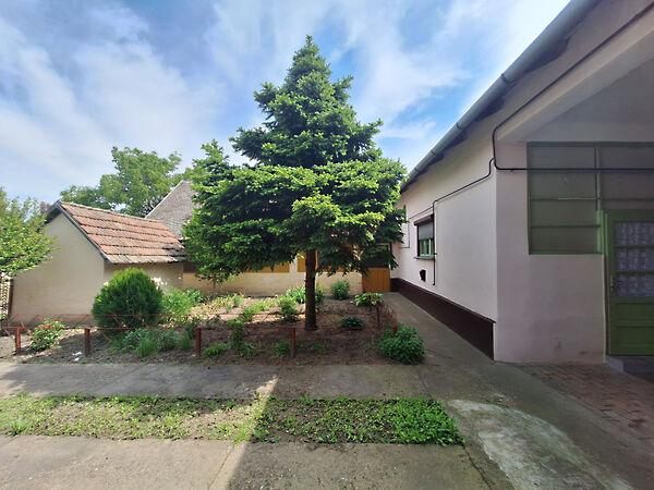 Petőfi Sándor, Földeák 2. képe