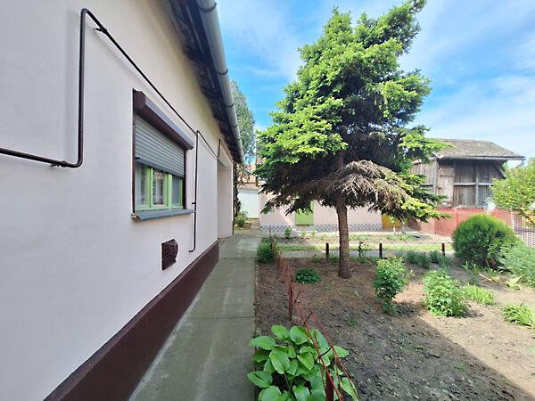 Petőfi Sándor, Földeák 3. képe