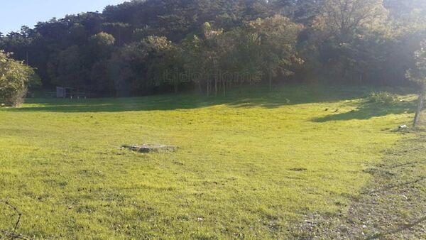 Vonyarcvashegy 3. képe