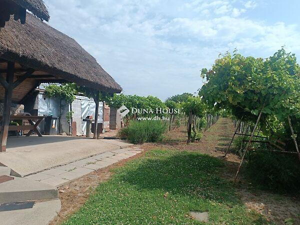 Martonvásár 3. képe