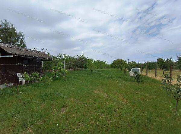 Törökszentmiklós képe