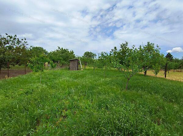 Törökszentmiklós 2. képe