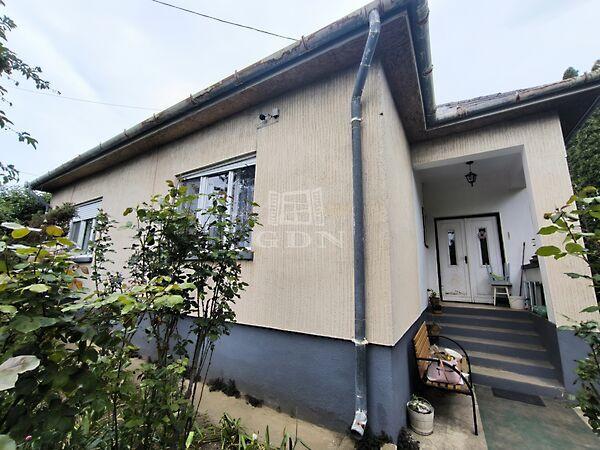 csendes, Nógrádsáp képe