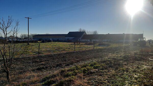 Bácsszentgyörgy képe