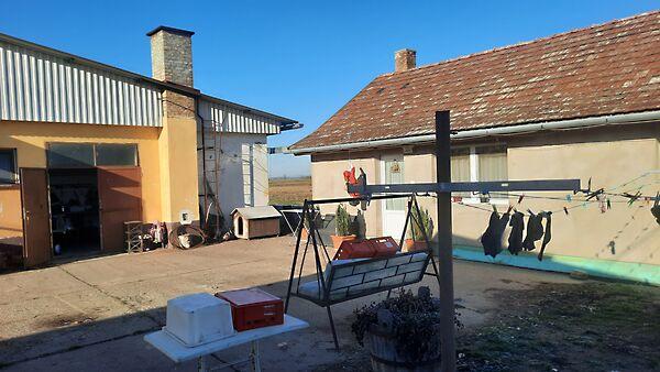 Bácsszentgyörgy 2. képe