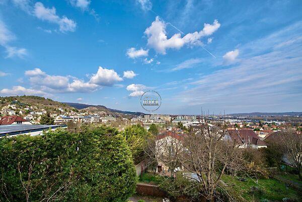 Ibolya, Budaörs 3. képe