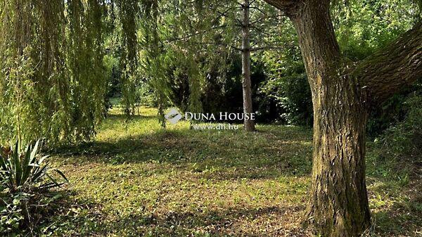 Kossuth Lajos, Dunabogdány 2. képe