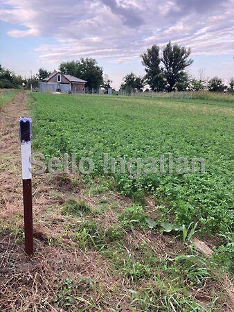 Balatonszabadi képe