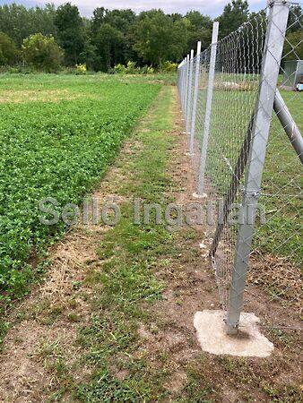 Balatonszabadi 2. képe