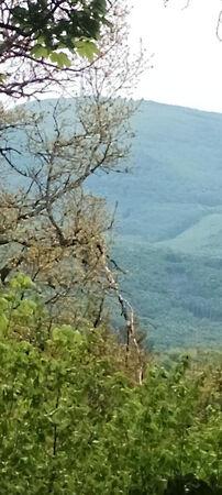 Mátraszentimre képe