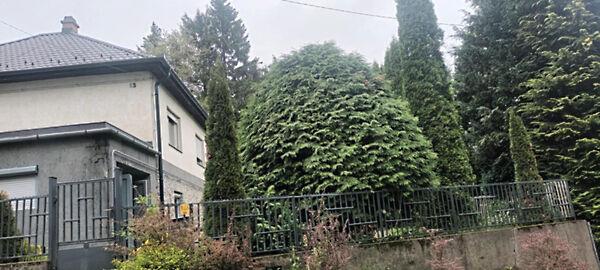 Mátraszentimre 2. képe