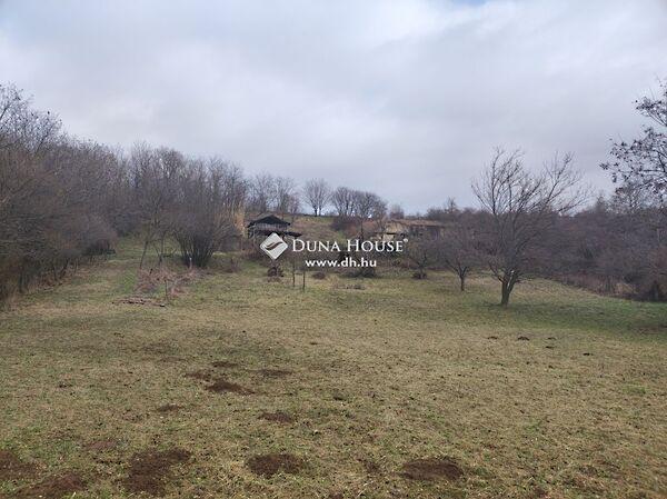 Fő, Pereked 2. képe