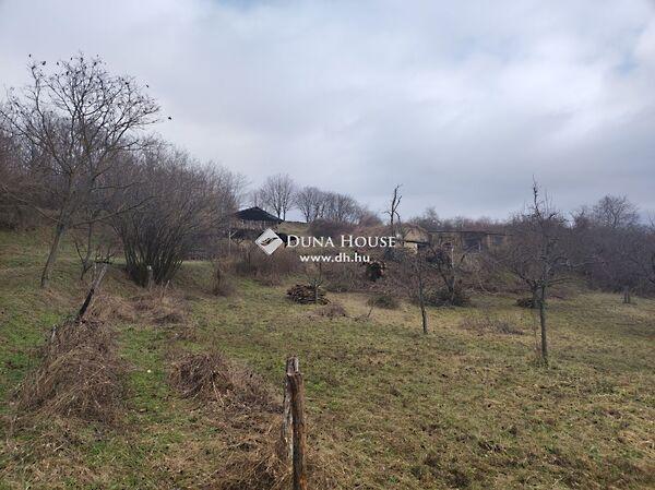 Fő, Pereked 3. képe