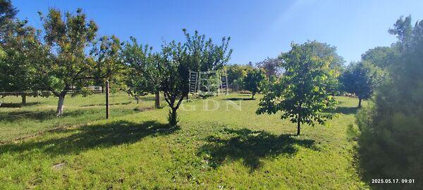 Újszentivánon Családi ház, Újszentiván 2. képe