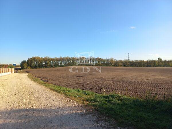 Dunaharaszti 2. képe