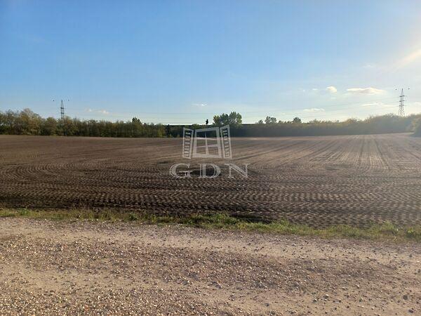 Dunaharaszti 3. képe