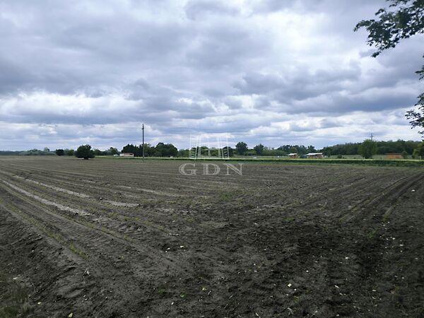 Sziget, Pócsmegyer képe