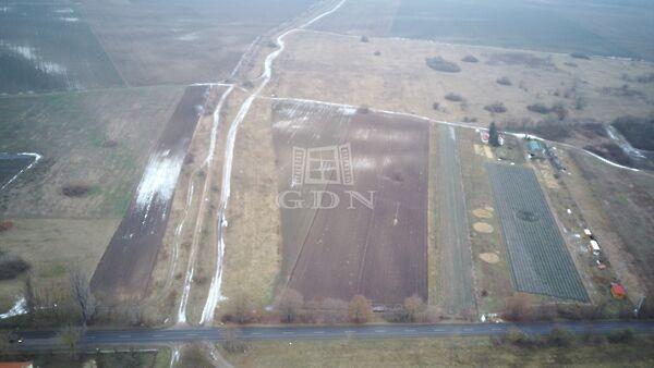 Sziget, Pócsmegyer 3. képe