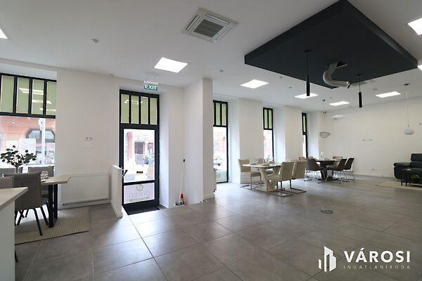 Szeged, Szeged képe