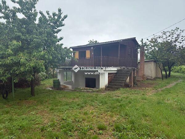 Hangya, Pécs 2. képe