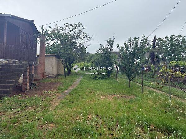 Hangya, Pécs 3. képe