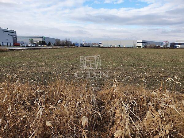 Leshegyi, Szigetszentmiklós 3. képe