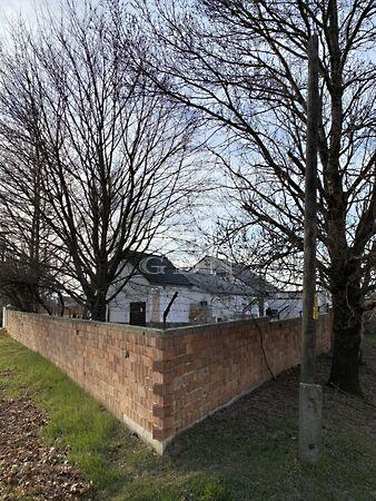 Akácfa, Bicske képe