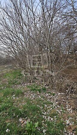 Bugyi, Bugyi 3. képe