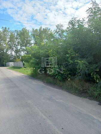 Lehmann Kapitány utca, Dunaharaszti 3. képe