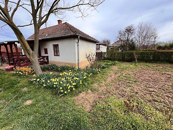 Nyíregyháza 3. képe