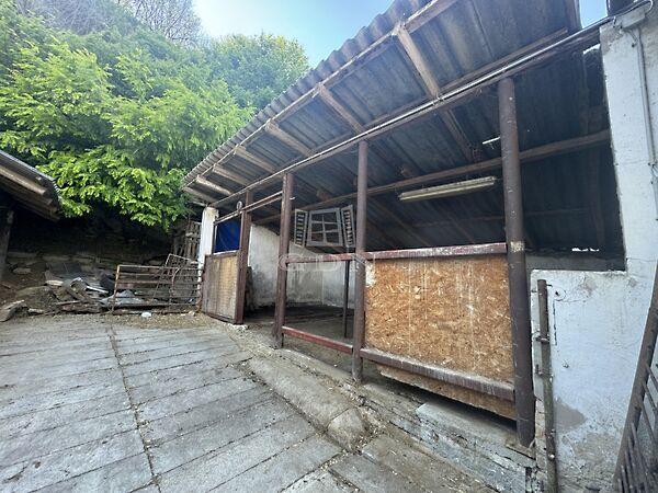 Dunaszekcső 2. képe