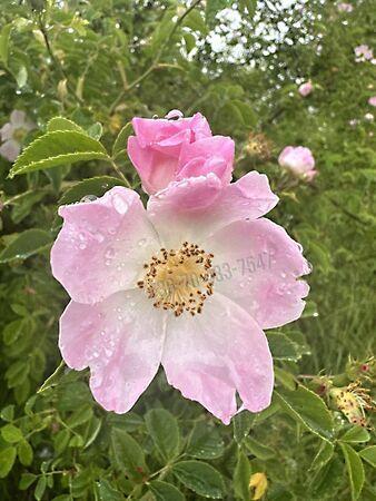 Törökbálint képe