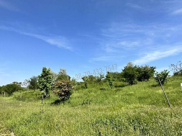 Törökbálint 3. képe